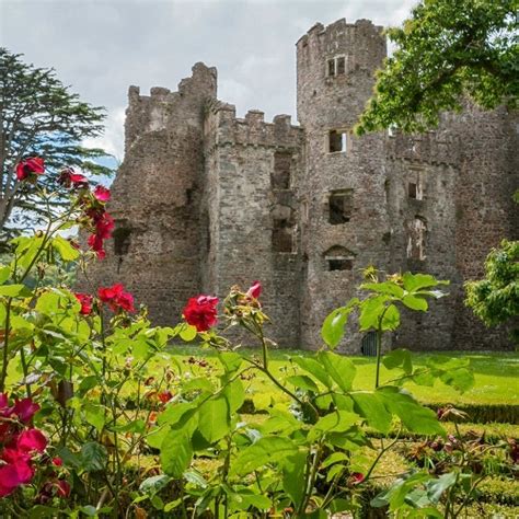 cssc cadw|cadw free entry.